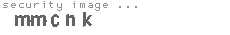 security code